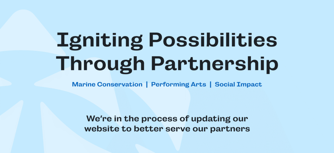 Igniting Possibilities Through Partnership